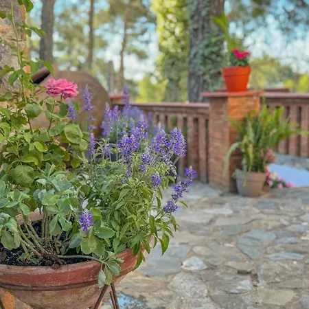 Semiramis Boutique & فندق