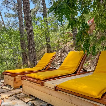 فندق Semiramis Boutique & Kato Platres