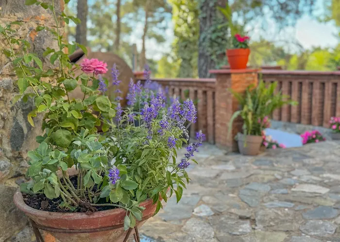 Semiramis Boutique & Hotel