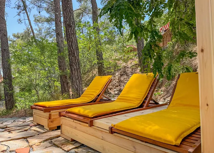 Hotel Semiramis Boutique & Kato Platres